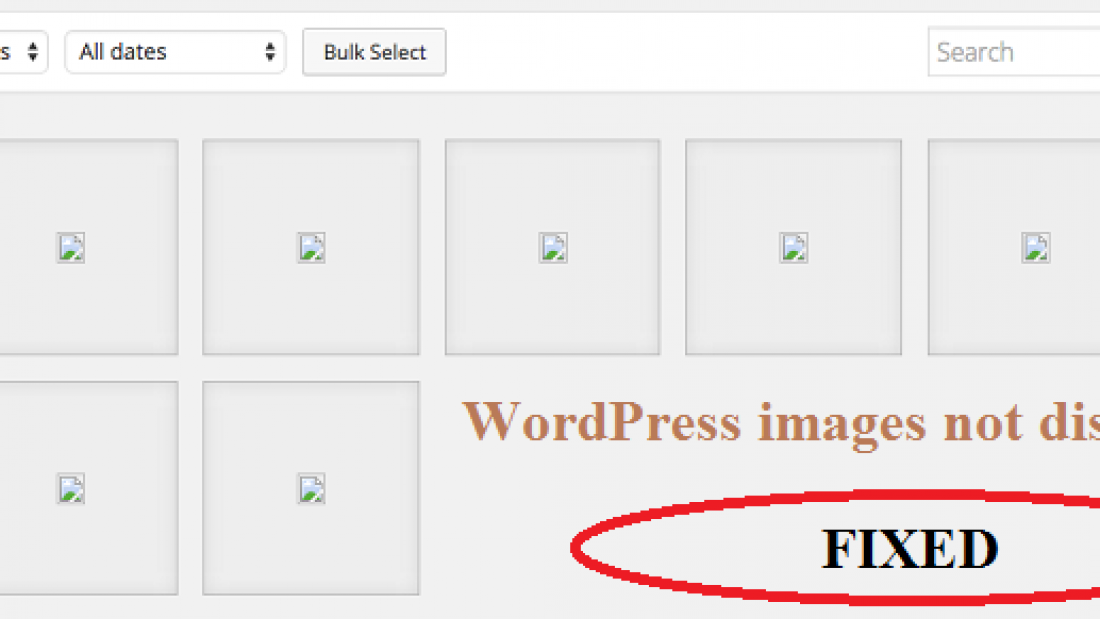 wordpress images not displaying