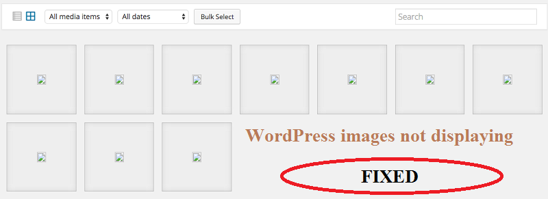 wordpress images not displaying