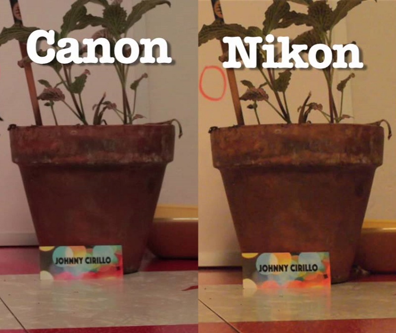 Canon 6D vs Nikon D750 photo