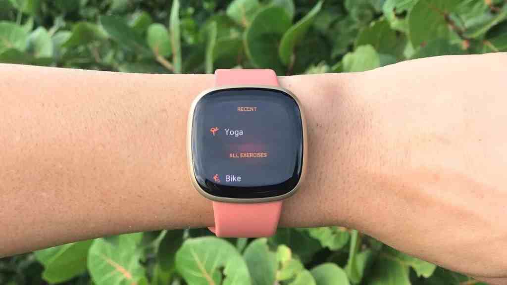 What are Fitbit Versa 3 controls