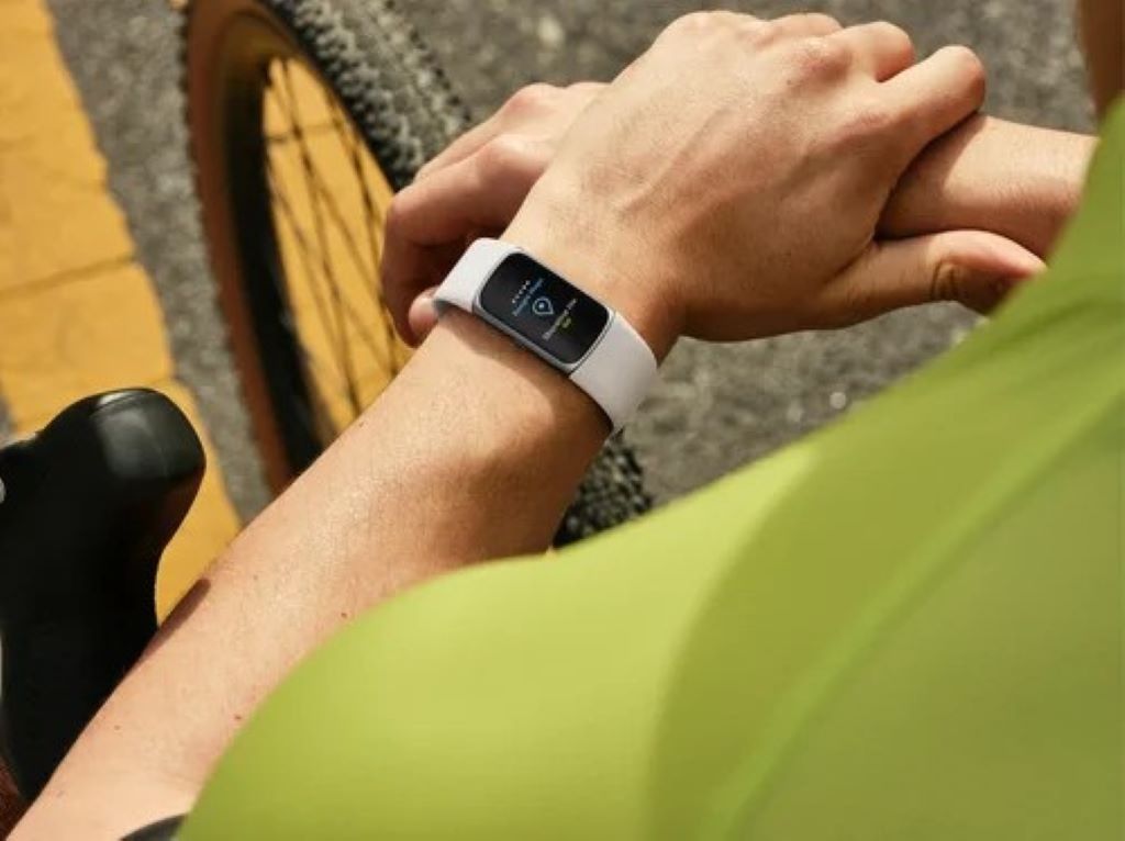 Who is Fitbit's biggest competitor