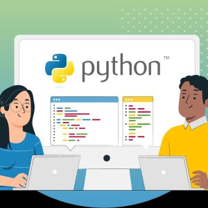 How to choose Python development company